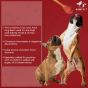 Buy Royal Enfield Pawfect 100% Natural Peanut Butter For Dogs-Cranberries & Cinnamon-275g Online