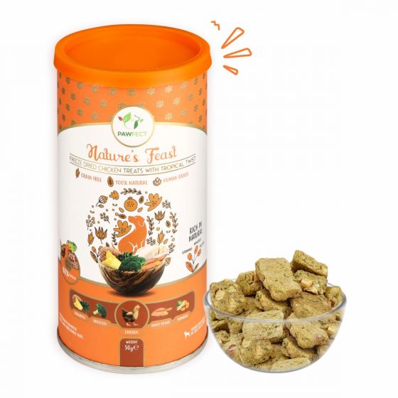 Buy Royal Enfield Nature's Feast – Freeze Dried  For Dog-Chicken with Tropical Twist Online