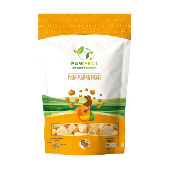 Buy Royal Enfield Nature's Munch - Pumpkin  Online