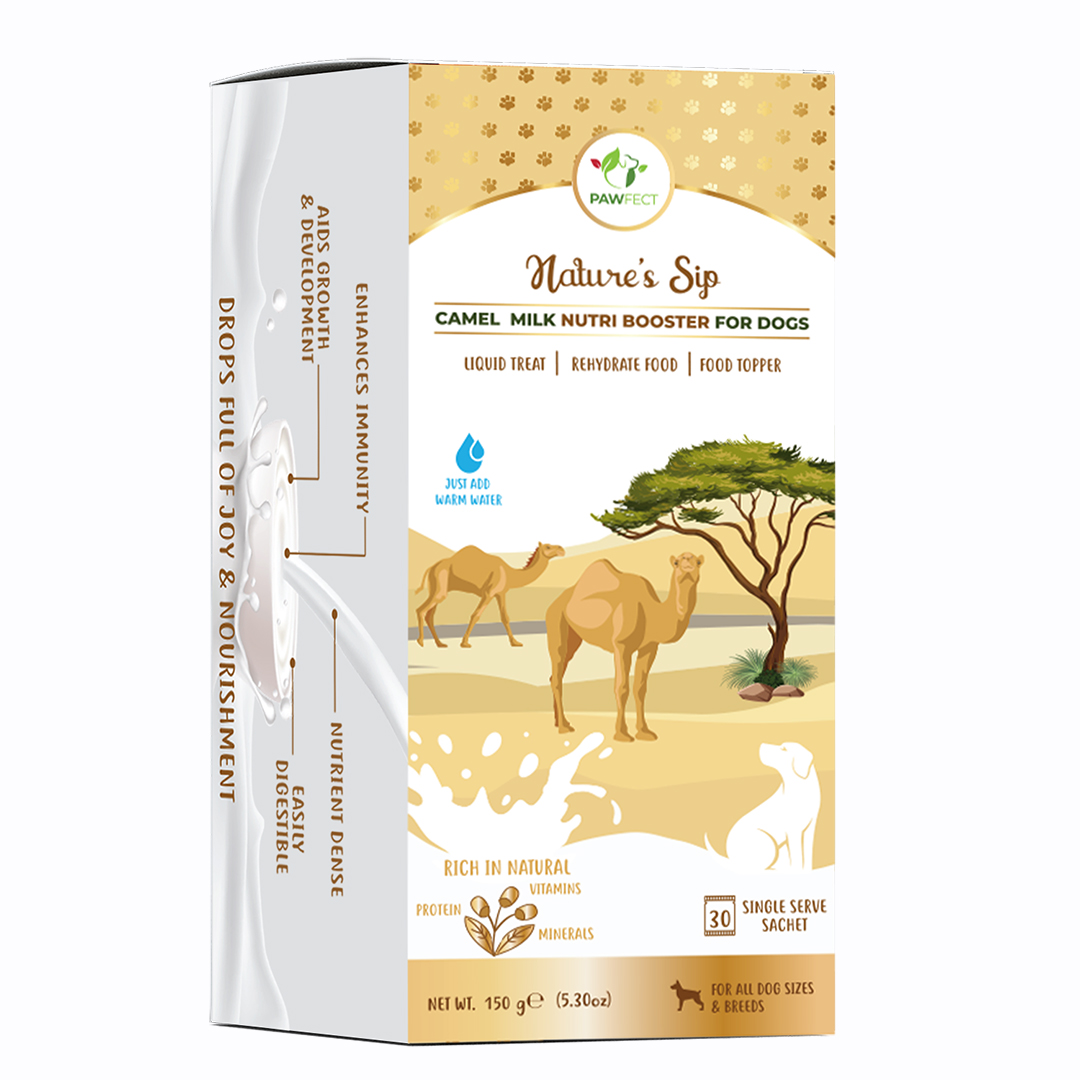 Camel milk - Plain